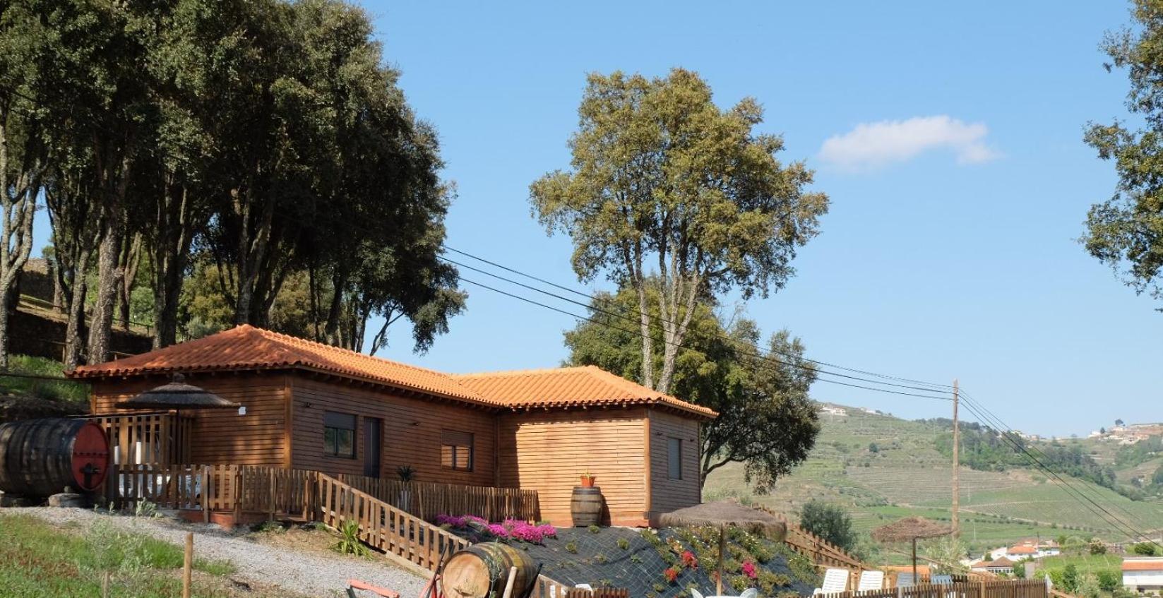 Quinta Da Bandeira - Casa De Ferias No Douro Villa Martir Exterior photo